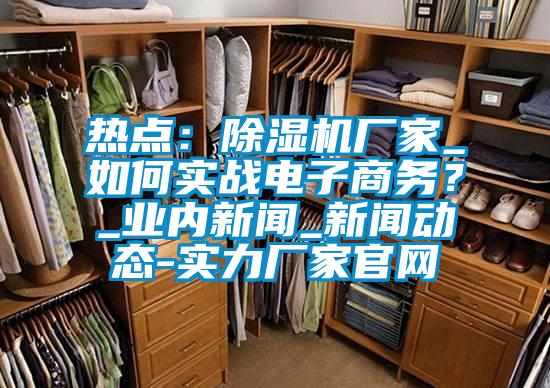 熱點：除濕機廠家_如何實戰(zhàn)電子商務<div   id=