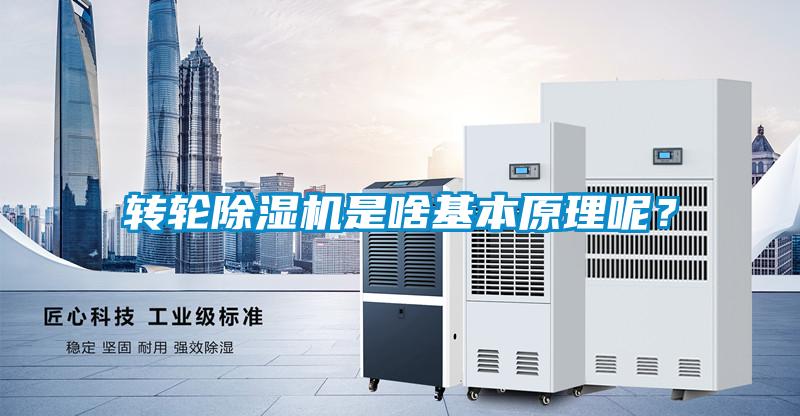 轉(zhuǎn)輪除濕機(jī)是啥基本原理呢<div   id=