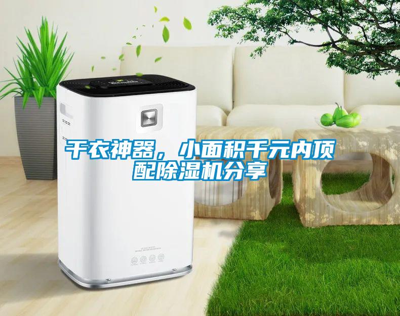 干衣神器<div   id=