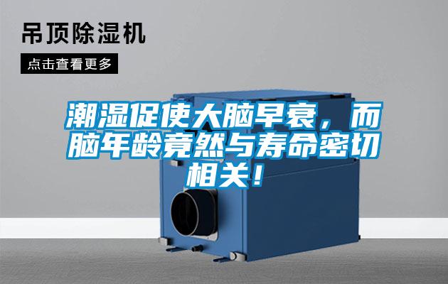 潮濕促使大腦早衰，而腦年齡竟然與壽命密切相關<div   id=