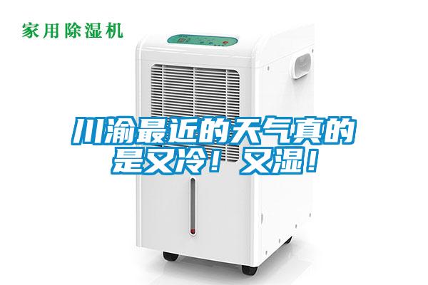 川渝最近的天氣真的是又冷<div   id=