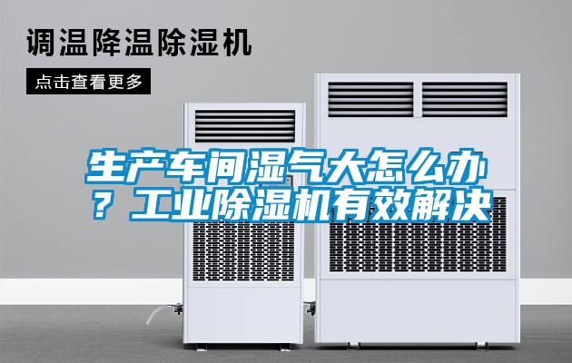 生產(chǎn)車間濕氣大怎么辦<div   id=