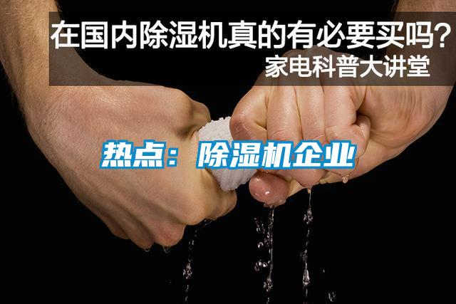 熱點：除濕機企業(yè)