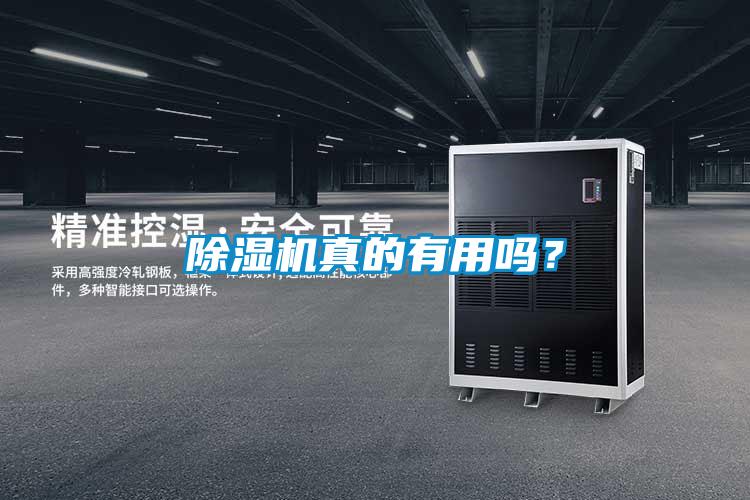 除濕機(jī)真的有用嗎<div   id=