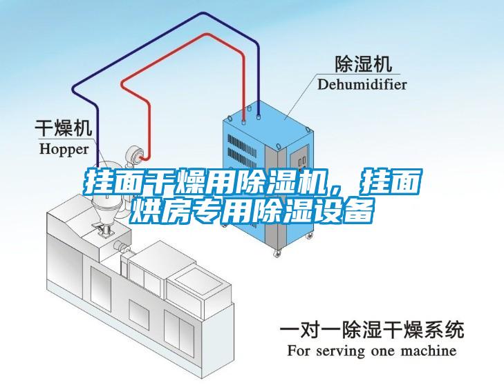 掛面干燥用除濕機(jī)<div   id=