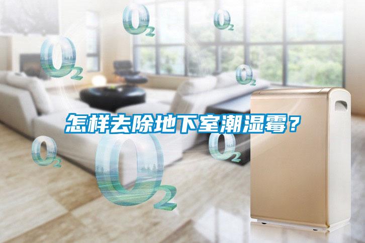 怎樣去除地下室潮濕霉<div   id=