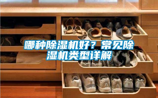 哪種除濕機好<div   id=
