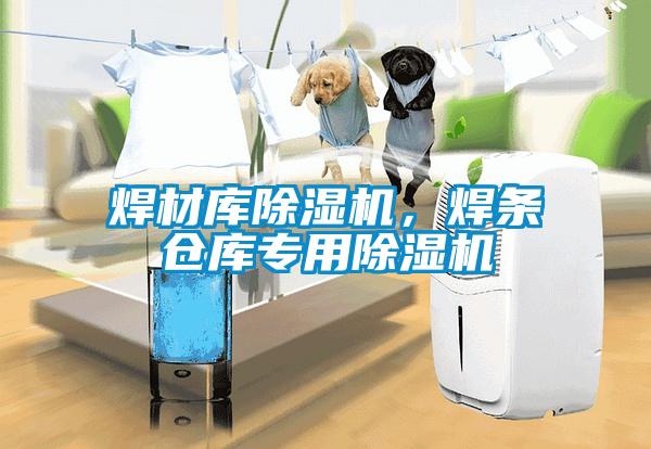 焊材庫除濕機(jī)，焊條倉庫專用除濕機(jī)