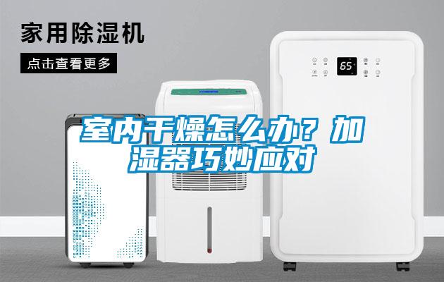 室內(nèi)干燥怎么辦<div   id=