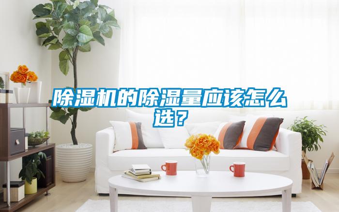 除濕機的除濕量應(yīng)該怎么選<div   id=