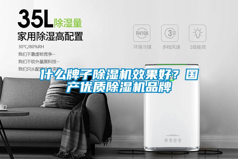什么牌子除濕機(jī)效果好<div   id=