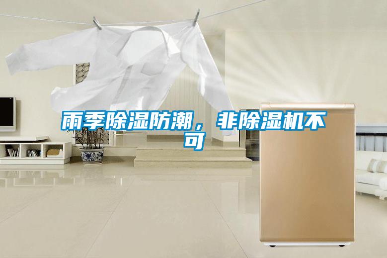 雨季除濕防潮<div   id=