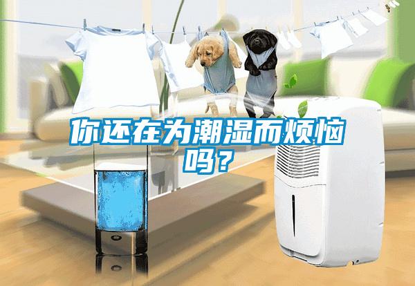 你還在為潮濕而煩惱嗎<div   id=