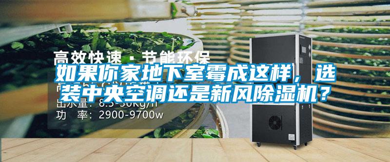 如果你家地下室霉成這樣，選裝中央空調還是新風除濕機<div   id=