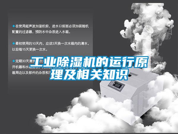 工業(yè)除濕機(jī)的運(yùn)行原理及相關(guān)知識