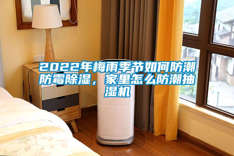 2022年梅雨季節(jié)如何防潮防霉除濕<div   id=