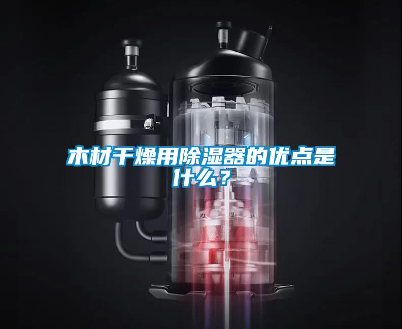 木材干燥用除濕器的優(yōu)點(diǎn)是什么<div   id=