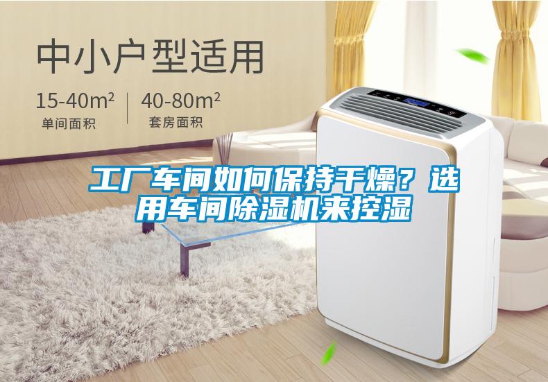 工廠車間如何保持干燥<div   id=