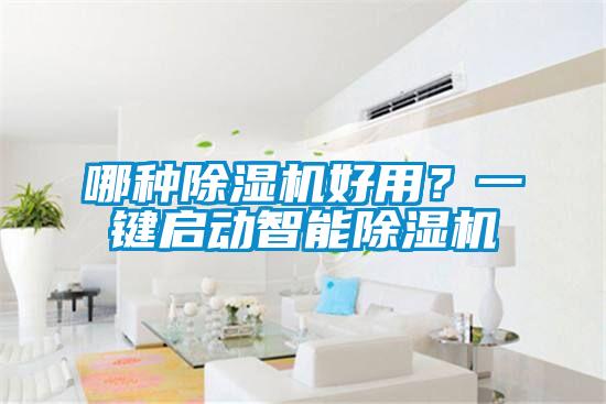 哪種除濕機好用<div   id=