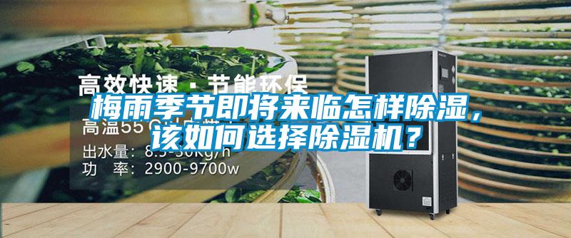 梅雨季節(jié)即將來臨怎樣除濕<div   id=
