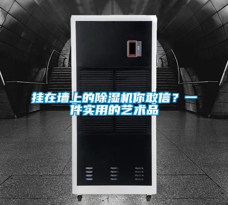 掛在墻上的除濕機(jī)你敢信<div   id=