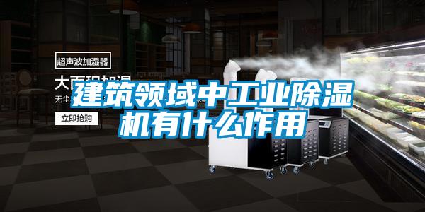 建筑領(lǐng)域中工業(yè)除濕機有什么作用