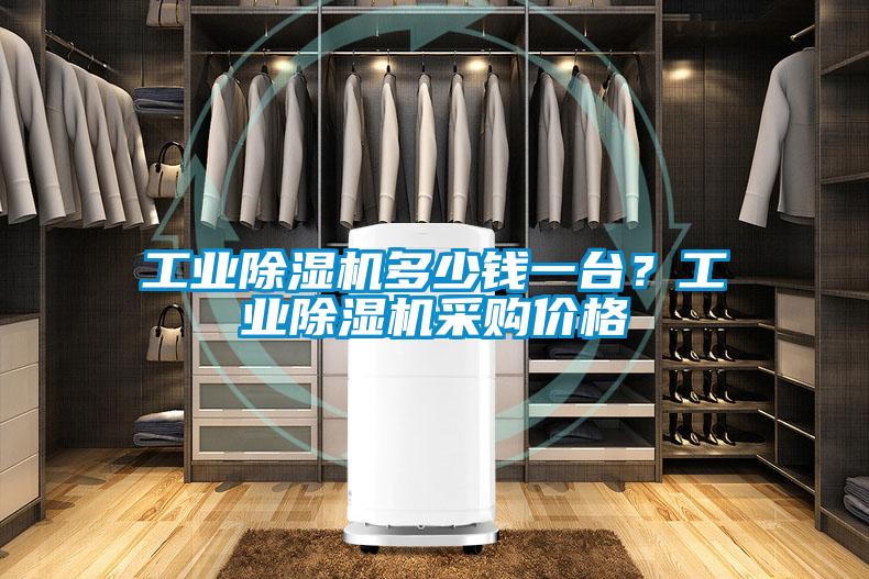 工業(yè)除濕機(jī)多少錢一臺(tái)<div   id=