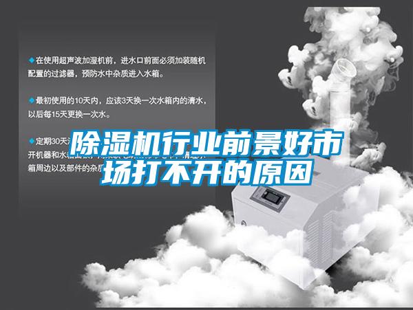 除濕機(jī)行業(yè)前景好市場(chǎng)打不開(kāi)的原因