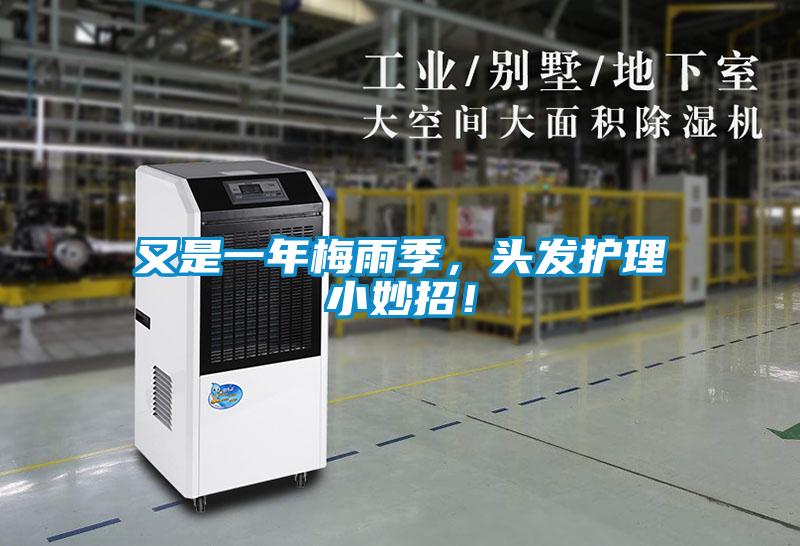 又是一年梅雨季，頭發(fā)護(hù)理小妙招！