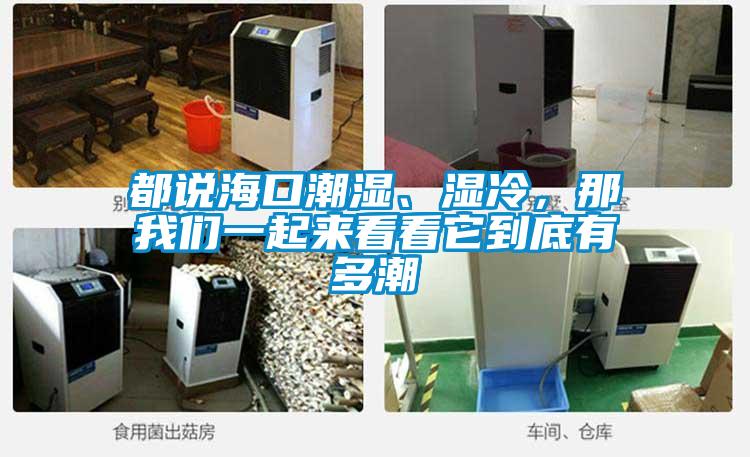 都說海口潮濕<div   id=