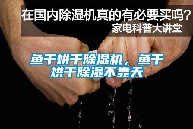 魚干烘干除濕機<div   id=