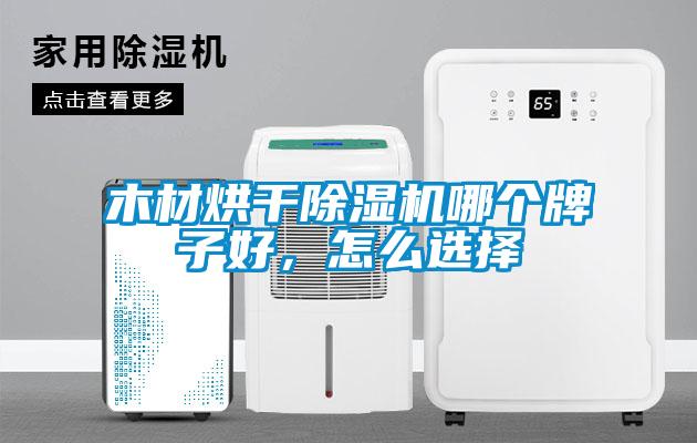 木材烘干除濕機(jī)哪個牌子好<div   id=