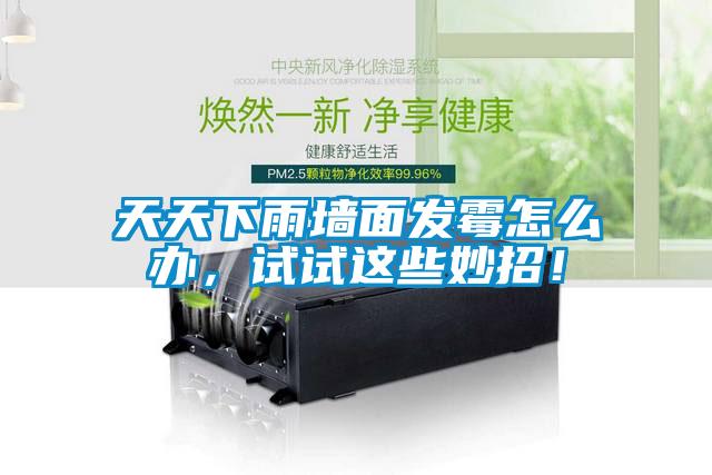 天天下雨墻面發(fā)霉怎么辦<div   id=