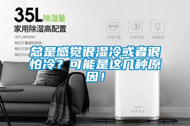 總是感覺很濕冷或者很怕冷<div   id=