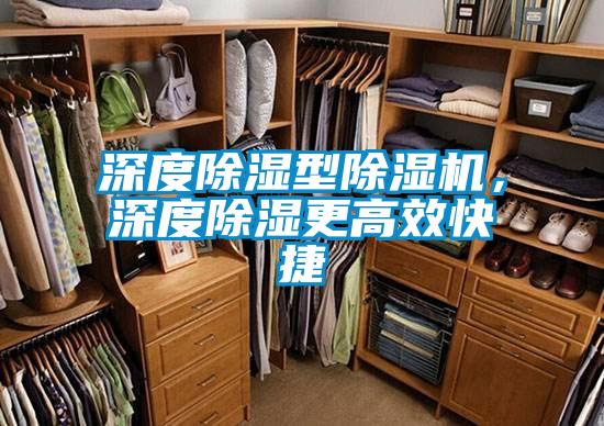 深度除濕型除濕機<div   id=
