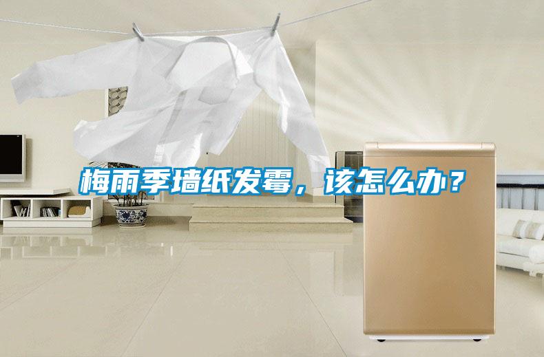 梅雨季墻紙發(fā)霉<div   id=