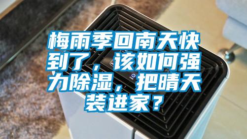 梅雨季回南天快到了，該如何強力除濕<div   id=
