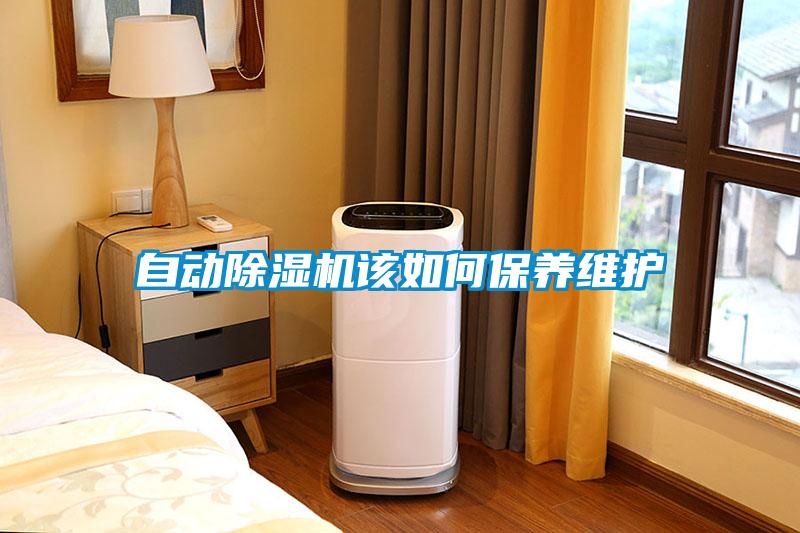 自動除濕機該如何保養(yǎng)維護