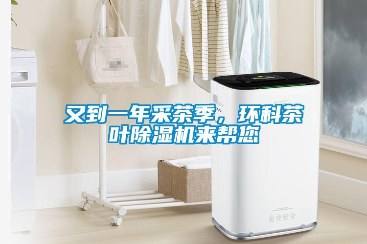 又到一年采茶季<div   id=