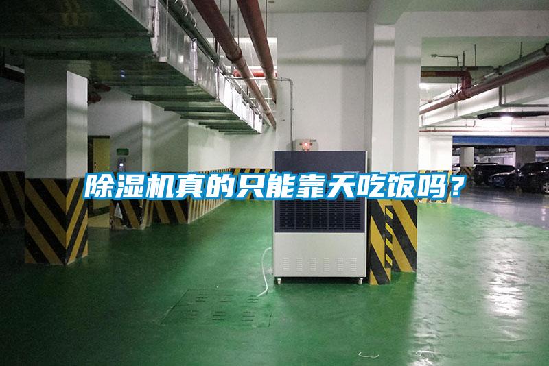 除濕機(jī)真的只能靠天吃飯嗎<div   id=