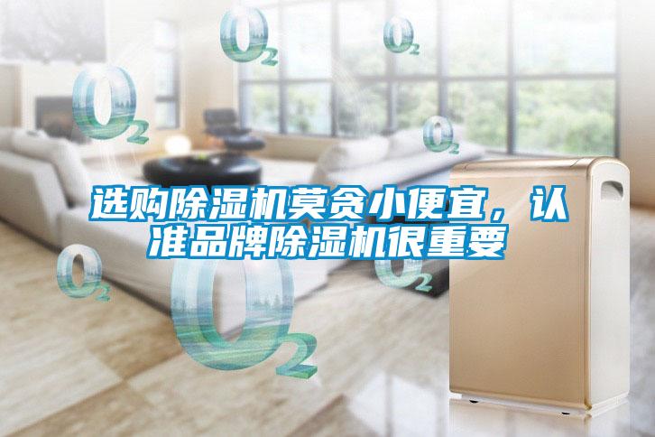 選購(gòu)除濕機(jī)莫貪小便宜，認(rèn)準(zhǔn)品牌除濕機(jī)很重要