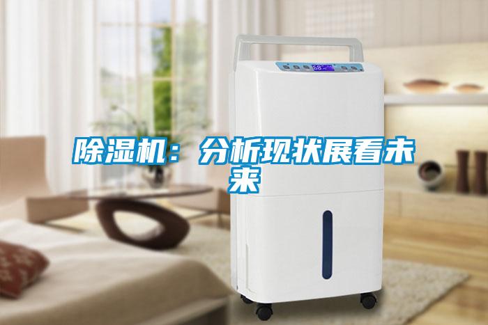 除濕機(jī)：分析現(xiàn)狀展看未來(lái)