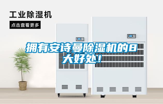 擁有安詩(shī)曼除濕機(jī)的8大好處<div   id=