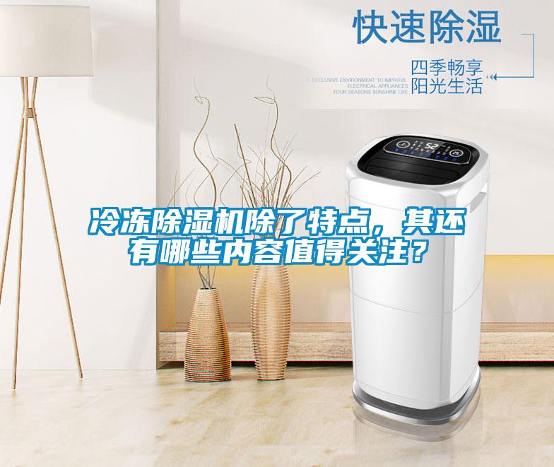 冷凍除濕機除了特點<div   id=