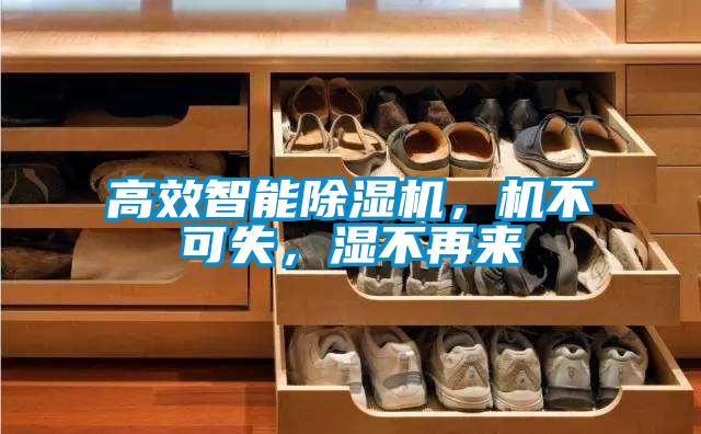 高效智能除濕機(jī)<div   id=