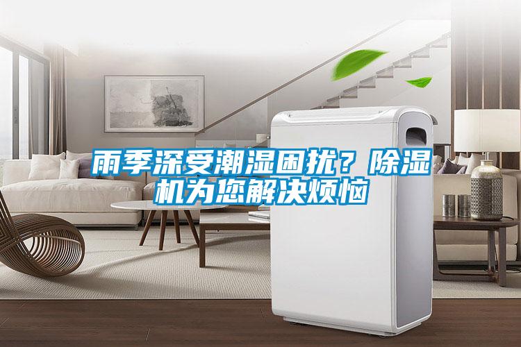 雨季深受潮濕困擾<div   id=