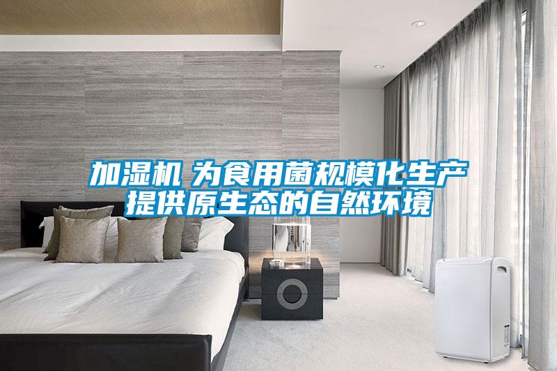 加濕機　為食用菌規(guī)?div   id=