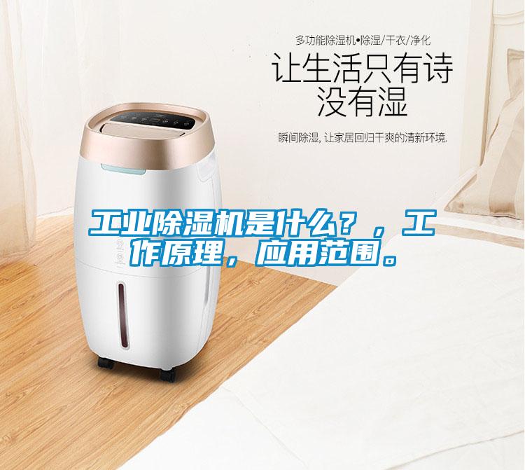 工業(yè)除濕機(jī)是什么？<div   id=