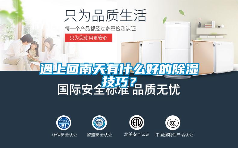 遇上回南天有什么好的除濕技巧<div   id=