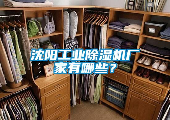 沈陽工業(yè)除濕機(jī)廠家有哪些<div   id=